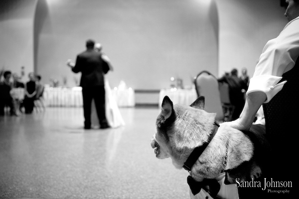 Best Winter Park Civic Center Wedding photographer - Sandra Johnson (SJFoto.com)